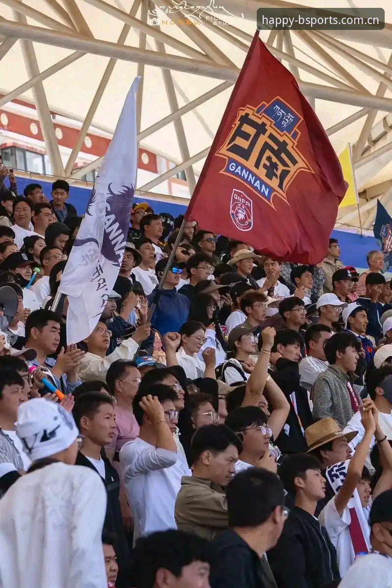 揭秘世界杯“冷场”背后的真相：签证战火如何扼杀球迷热情，Bsports体育深度解析